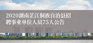 2020湖南芷江侗族自治县招聘事业单位人员75人公告
