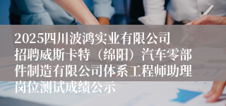 2025四川波鸿实业有限公司招聘威斯卡特（绵阳）汽车零部件制造有限公司体系工程师助理岗位测试成绩公示