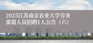 2025江苏南京农业大学劳务派遣人员招聘1人公告（六）