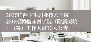 2025广西卫生职业技术学院公开招聘临床医学院（附属医院）（筹）工作人员13人公告