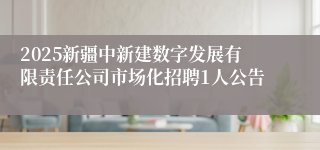 2025新疆中新建数字发展有限责任公司市场化招聘1人公告