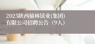 2025陕西榆林镁业(集团)有限公司招聘公告（9人）