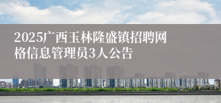 2025广西玉林隆盛镇招聘网格信息管理员3人公告
