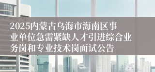 2025内蒙古乌海市海南区事业单位急需紧缺人才引进综合业务岗和专业技术岗面试公告