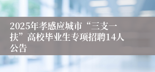 2025年孝感应城市“三支一扶”高校毕业生专项招聘14人公告