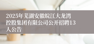 2025年芜湖安徽皖江大龙湾控股集团有限公司公开招聘13人公告