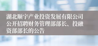 湖北顺宇产业投资发展有限公司公开招聘财务管理部部长、投融资部部长的公告