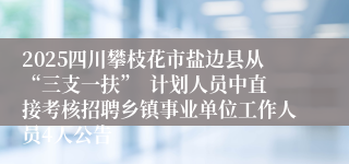 2025四川攀枝花市盐边县从“三支一扶”  计划人员中直接考核招聘乡镇事业单位工作人员4人公告
