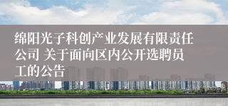 绵阳光子科创产业发展有限责任公司 关于面向区内公开选聘员工的公告