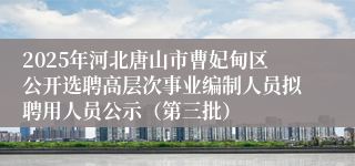 2025年河北唐山市曹妃甸区公开选聘高层次事业编制人员拟聘用人员公示（第三批）