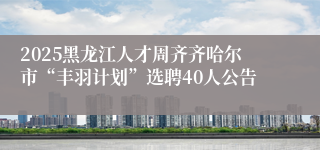 2025黑龙江人才周齐齐哈尔市“丰羽计划”选聘40人公告