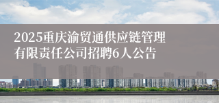 2025重庆渝贸通供应链管理有限责任公司招聘6人公告