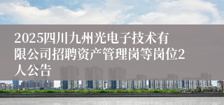 2025四川九州光电子技术有限公司招聘资产管理岗等岗位2人公告