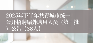 2025年下半年共青城市统一公开招聘编外聘用人员（第一批）公告【38人】