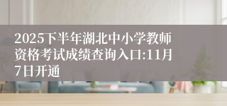 2025下半年湖北中小学教师资格考试成绩查询入口:11月7日开通