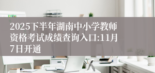 2025下半年湖南中小学教师资格考试成绩查询入口:11月7日开通
