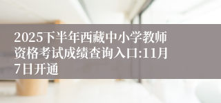 2025下半年西藏中小学教师资格考试成绩查询入口:11月7日开通
