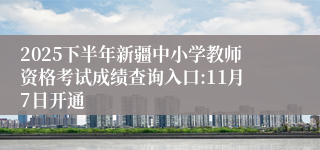 2025下半年新疆中小学教师资格考试成绩查询入口:11月7日开通