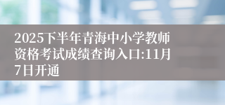 2025下半年青海中小学教师资格考试成绩查询入口:11月7日开通