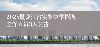 2025黑龙江省实验中学招聘工作人员3人公告