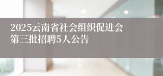 2025云南省社会组织促进会第三批招聘5人公告