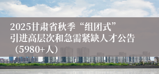 2025甘肃省秋季“组团式”引进高层次和急需紧缺人才公告（5980+人）