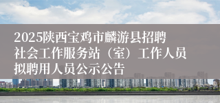 2025陕西宝鸡市麟游县招聘社会工作服务站（室）工作人员拟聘用人员公示公告