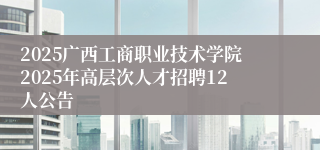 2025广西工商职业技术学院2025年高层次人才招聘12人公告