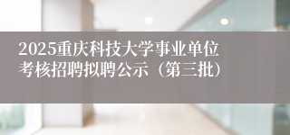 2025重庆科技大学事业单位考核招聘拟聘公示（第三批）