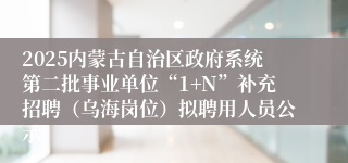 2025内蒙古自治区政府系统第二批事业单位“1+N”补充招聘（乌海岗位）拟聘用人员公示