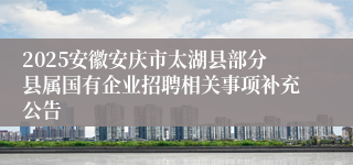 2025安徽安庆市太湖县部分县属国有企业招聘相关事项补充公告