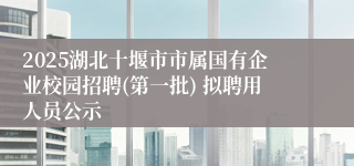 2025湖北十堰市市属国有企业校园招聘(第一批) 拟聘用人员公示