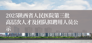 2025陕西省人民医院第三批高层次人才及团队拟聘用人员公示