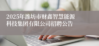 2025年潍坊市财鑫智慧能源科技集团有限公司招聘公告