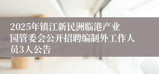 2025年镇江新民洲临港产业园管委会公开招聘编制外工作人员3人公告