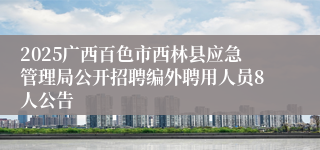 2025广西百色市西林县应急管理局公开招聘编外聘用人员8人公告