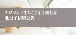 2025年下半年宝山区国有企业员工招聘公告