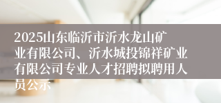 2025山东临沂市沂水龙山矿业有限公司、沂水城投锦祥矿业有限公司专业人才招聘拟聘用人员公示