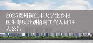 2025贵州铜仁市大学生乡村医生专项计划招聘工作人员14人公告