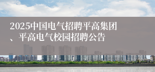 2025中国电气招聘平高集团、平高电气校园招聘公告