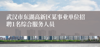 武汉市东湖高新区某事业单位招聘1名综合服务人员