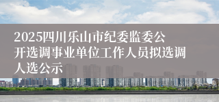2025四川乐山市纪委监委公开选调事业单位工作人员拟选调人选公示