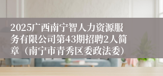2025广西南宁智人力资源服务有限公司第43期招聘2人简章（南宁市青秀区委政法委）