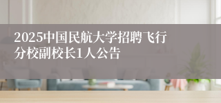 2025中国民航大学招聘飞行分校副校长1人公告