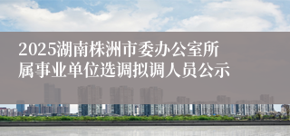 2025湖南株洲市委办公室所属事业单位选调拟调人员公示