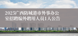 2025广西防城港市外事办公室招聘编外聘用人员1人公告