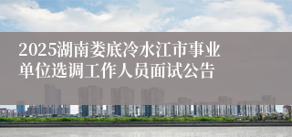 2025湖南娄底冷水江市事业单位选调工作人员面试公告
