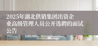 2025年湖北供销集团出资企业高级管理人员公开选聘的面试公告