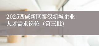2025西咸新区秦汉新城企业人才需求岗位（第三批）
