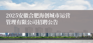 2025安徽合肥海创城市运营管理有限公司招聘公告